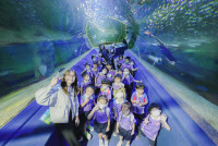 2569 Summer Camp ธีม Under the sea สำหรับนักเรียนชั้น อ.2 (รหัสนักเรียน 67)