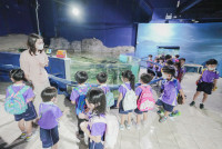 2569 Summer Camp ธีม Under the sea สำหรับนักเรียนชั้น อ.2 (รหัสนักเรียน 67)
