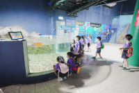 2569 Summer Camp ธีม Under the sea สำหรับนักเรียนชั้น อ.2 (รหัสนักเรียน 67)