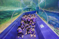2569 Summer Camp ธีม Under the sea สำหรับนักเรียนชั้น อ.2 (รหัสนักเรียน 67)