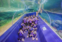 2569 Summer Camp ธีม Under the sea สำหรับนักเรียนชั้น อ.2 (รหัสนักเรียน 67)
