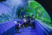 2569 Summer Camp ธีม Under the sea สำหรับนักเรียนชั้น อ.2 (รหัสนักเรียน 67)