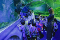 2569 Summer Camp ธีม Under the sea สำหรับนักเรียนชั้น อ.2 (รหัสนักเรียน 67)