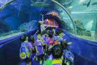 2569 Summer Camp ธีม Under the sea สำหรับนักเรียนชั้น อ.2 (รหัสนักเรียน 67)