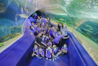 2569 Summer Camp ธีม Under the sea สำหรับนักเรียนชั้น อ.2 (รหัสนักเรียน 67)