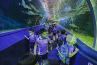 2569 Summer Camp ธีม Under the sea สำหรับนักเรียนชั้น อ.2 (รหัสนักเรียน 67)