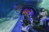 2569 Summer Camp ธีม Under the sea สำหรับนักเรียนชั้น อ.2 (รหัสนักเรียน 67)
