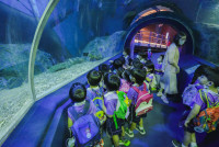 2569 Summer Camp ธีม Under the sea สำหรับนักเรียนชั้น อ.2 (รหัสนักเรียน 67)