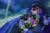 2569 Summer Camp ธีม Under the sea สำหรับนักเรียนชั้น อ.2 (รหัสนักเรียน 67)