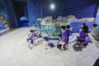 2569 Summer Camp ธีม Under the sea สำหรับนักเรียนชั้น อ.2 (รหัสนักเรียน 67)