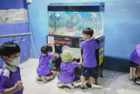 2569 Summer Camp ธีม Under the sea สำหรับนักเรียนชั้น อ.2 (รหัสนักเรียน 67)
