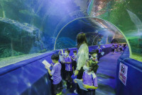 2569 Summer Camp ธีม Under the sea สำหรับนักเรียนชั้น อ.2 (รหัสนักเรียน 67)