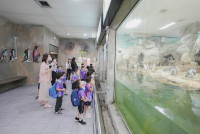 2569 Summer Camp ธีม Under the sea สำหรับนักเรียนชั้น อ.2 (รหัสนักเรียน 67)