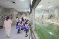 2569 Summer Camp ธีม Under the sea สำหรับนักเรียนชั้น อ.2 (รหัสนักเรียน 67)