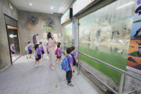 2569 Summer Camp ธีม Under the sea สำหรับนักเรียนชั้น อ.2 (รหัสนักเรียน 67)