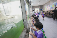 2569 Summer Camp ธีม Under the sea สำหรับนักเรียนชั้น อ.2 (รหัสนักเรียน 67)