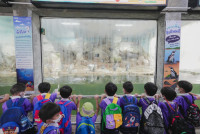 2569 Summer Camp ธีม Under the sea สำหรับนักเรียนชั้น อ.2 (รหัสนักเรียน 67)