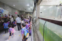 2569 Summer Camp ธีม Under the sea สำหรับนักเรียนชั้น อ.2 (รหัสนักเรียน 67)