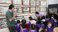 2569 Summer Camp ธีม Insects World  สำหรับนักเรียนชั้น อ.1 (รหัสนักเรียน 68) 