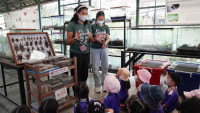 2569 Summer Camp ธีม Insects World  สำหรับนักเรียนชั้น อ.1 (รหัสนักเรียน 68) 