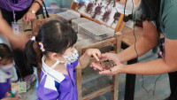 2569 Summer Camp ธีม Insects World  สำหรับนักเรียนชั้น อ.1 (รหัสนักเรียน 68) 