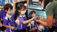 2569 Summer Camp ธีม Insects World  สำหรับนักเรียนชั้น อ.1 (รหัสนักเรียน 68) 