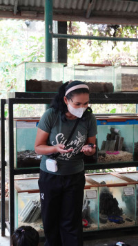 2569 Summer Camp ธีม Insects World  สำหรับนักเรียนชั้น อ.1 (รหัสนักเรียน 68) 