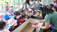 2569 Summer Camp ธีม Insects World  สำหรับนักเรียนชั้น อ.1 (รหัสนักเรียน 68) 
