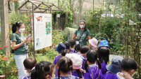 2569 Summer Camp ธีม Insects World  สำหรับนักเรียนชั้น อ.1 (รหัสนักเรียน 68) 
