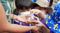 2569 Summer Camp ธีม Insects World  สำหรับนักเรียนชั้น อ.1 (รหัสนักเรียน 68) 