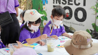 2569 Summer Camp ธีม Insects World  สำหรับนักเรียนชั้น อ.1 (รหัสนักเรียน 68) 
