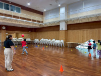 2569 Summer Camp ธีม Little Explorers Adventure สำหรับนักเรียนชั้น ป.1 (รหัสนักเรียน 68)