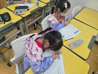 2569 Summer Camp ธีม Little Explorers Adventure สำหรับนักเรียนชั้น ป.1 (รหัสนักเรียน 68)