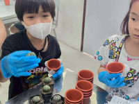 2569 Summer Camp ธีม Little Explorers Adventure สำหรับนักเรียนชั้น ป.1 (รหัสนักเรียน 68)