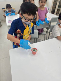 2569 Summer Camp ธีม Little Explorers Adventure สำหรับนักเรียนชั้น ป.1 (รหัสนักเรียน 68)