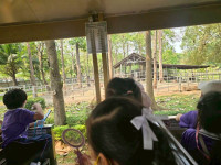 2569 Summer Camp ธีม Little Explorers Adventure สำหรับนักเรียนชั้น ป.1 (รหัสนักเรียน 68)