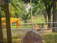 2569 Summer Camp ธีม Little Explorers Adventure สำหรับนักเรียนชั้น ป.1 (รหัสนักเรียน 68)