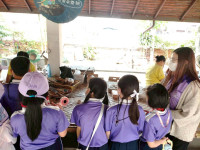 2569 Summer Camp ธีม Little Heritage Explorers สำหรับนักเรียนชั้น ป.2 (รหัสนักเรียน 67)
