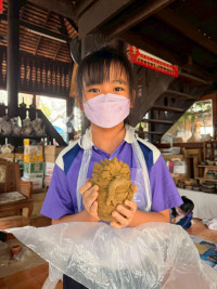 2569 Summer Camp ธีม Junior Innovator สำหรับนักเรียนชั้น ป.3 (รหัสนักเรียน 66) 