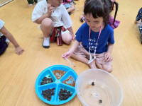 2569 Summer Camp ธีม Lanna Lunla สำหรับนักเรียนชั้น อ.1 (รหัสนักเรียน 68)