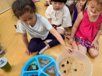 2569 Summer Camp ธีม Lanna Lunla สำหรับนักเรียนชั้น อ.1 (รหัสนักเรียน 68)