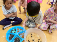 2569 Summer Camp ธีม Lanna Lunla สำหรับนักเรียนชั้น อ.1 (รหัสนักเรียน 68)