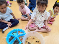 2569 Summer Camp ธีม Lanna Lunla สำหรับนักเรียนชั้น อ.1 (รหัสนักเรียน 68)