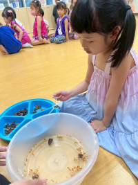 2569 Summer Camp ธีม Lanna Lunla สำหรับนักเรียนชั้น อ.1 (รหัสนักเรียน 68)