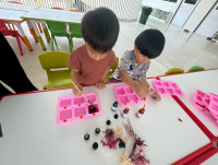 2569 Summer Camp ธีม Little Science Camp สำหรับนักเรียนชั้น อ.2 (รหัสนักเรียน 67)