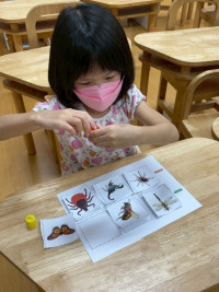 2569 Summer Camp ธีม Little Science Camp สำหรับนักเรียนชั้น อ.2 (รหัสนักเรียน 67)
