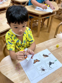 2569 Summer Camp ธีม Little Science Camp สำหรับนักเรียนชั้น อ.2 (รหัสนักเรียน 67)