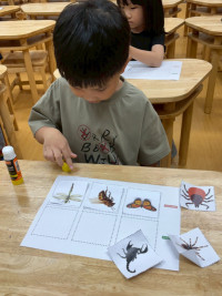 2569 Summer Camp ธีม Little Science Camp สำหรับนักเรียนชั้น อ.2 (รหัสนักเรียน 67)