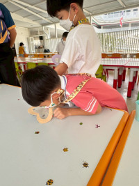2569 Summer Camp ธีม Little Science Camp สำหรับนักเรียนชั้น อ.2 (รหัสนักเรียน 67)