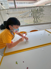 2569 Summer Camp ธีม Little Science Camp สำหรับนักเรียนชั้น อ.2 (รหัสนักเรียน 67)